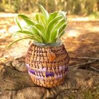 Vase pignon violet - violet foncé