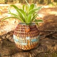 Vase pignon bleu - bleu foncé
