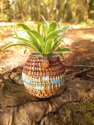 Vase pignon bleu - bleu foncé
