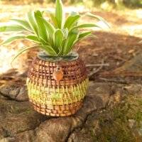 Vase pignon vert -vert clair
