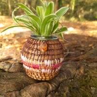 Vase pignon rose- rose foncé