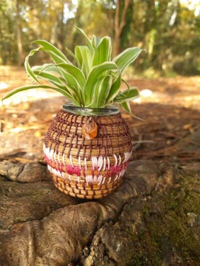 Vase pignon rose- rose foncé