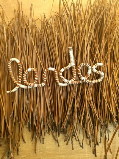 Ecriture en aiguilles de pin : Landes