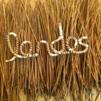 Ecriture en aiguilles de pin : Landes