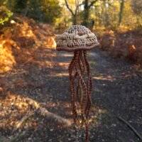 Méduse veilleuse marron