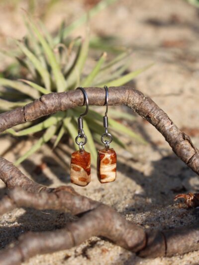 Boucles d'oreilles "bois de pigne"