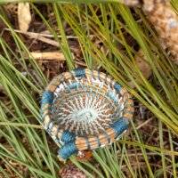 Pignonne "turquoise- blanc"