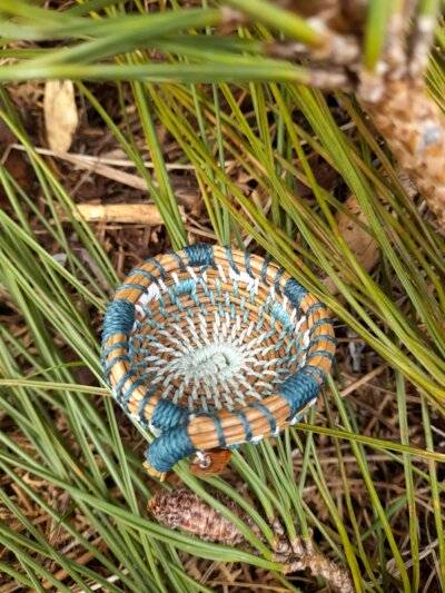 Pignonne "turquoise- blanc"