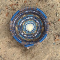 Corbeille Coquillage