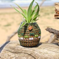 Vase pignon - Vert