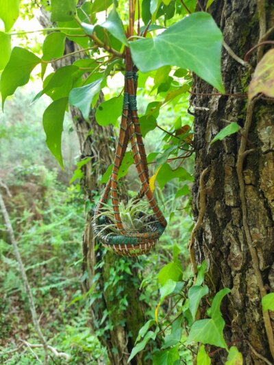 Suspension pinéa verte – Image 2