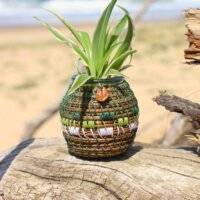 Vase pignon - Vert