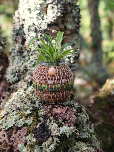 Vase pignon - océan Vert – Image 2