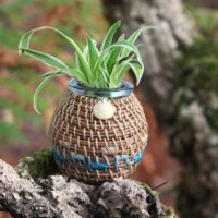 Vase pignon - océan Bleu