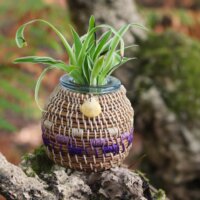 Vase pignon - océan Violet