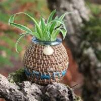Vase pignon - océan Bleu