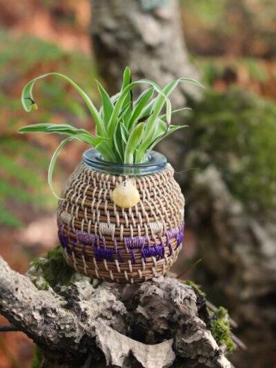 Vase pignon - océan Violet