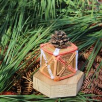 Boîte trésors des Landes (orange)