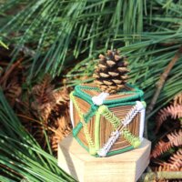 Boîte trésors des Landes (verte)